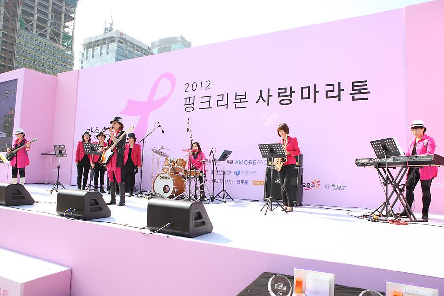 2012 핑크리본 사랑마라톤