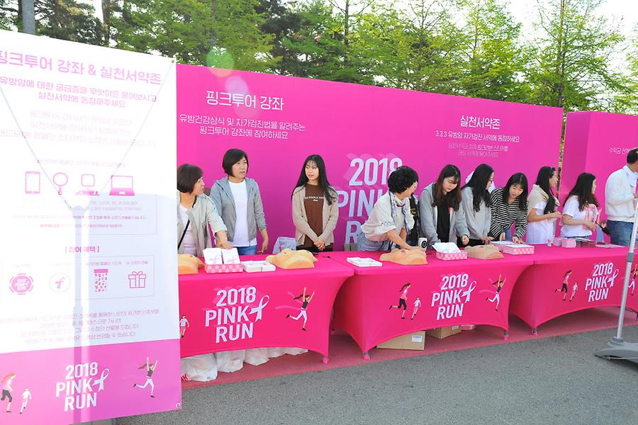 2018 핑크런 대전대회