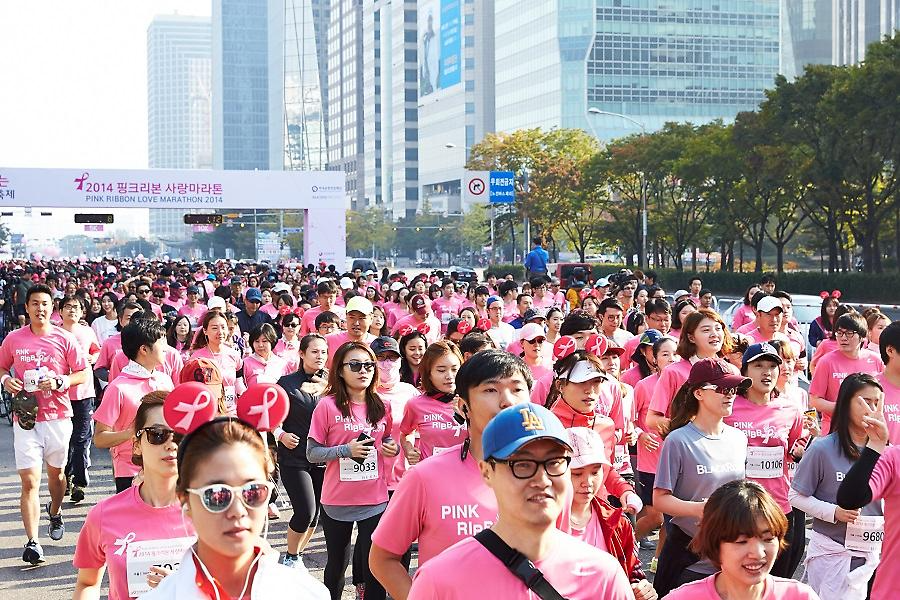 2014 핑크리본 사랑마라톤