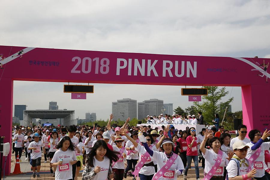 2018 핑크런 대전대회