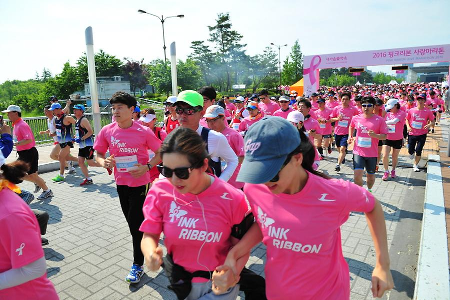 2016 핑크리본사랑마라톤 대전대회
