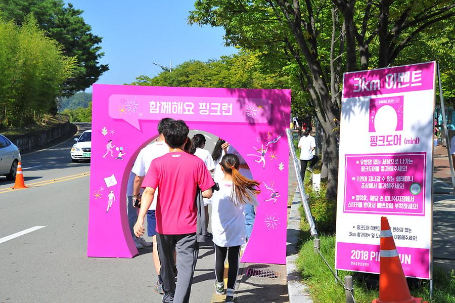 2018 핑크런 대구대회