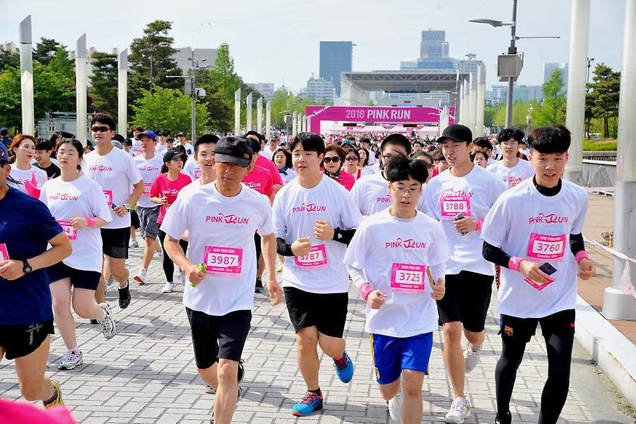 2018 핑크런 대전대회