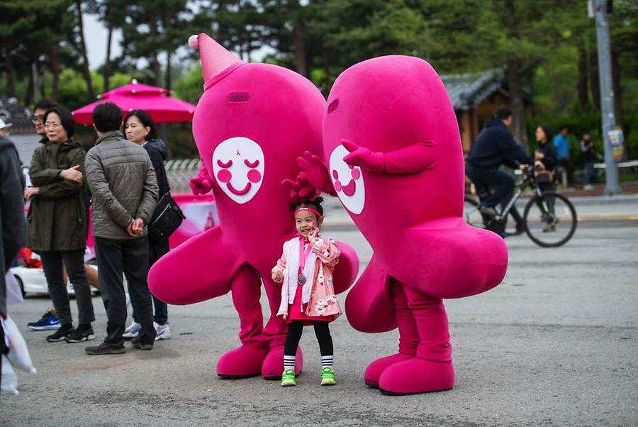 2019 핑크런 대전대회