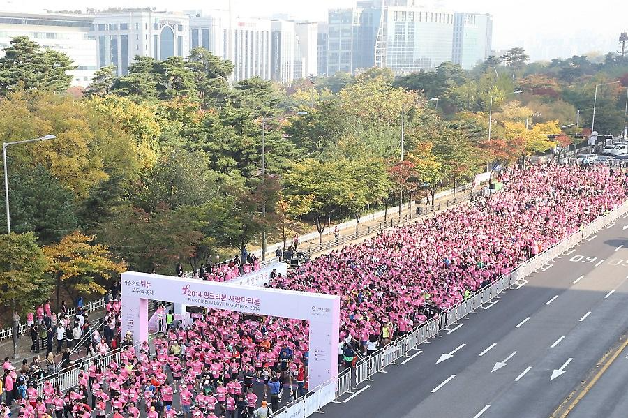 2014 핑크리본 사랑마라톤