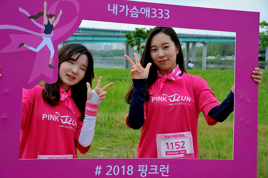 2018 핑크런 대전대회