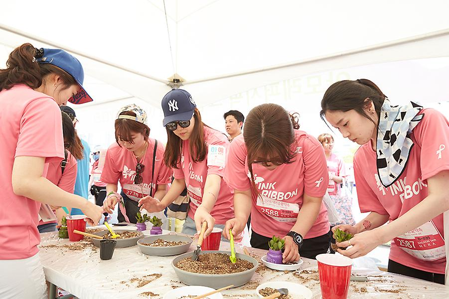 2016 핑크리본사랑마라톤 대전대회
