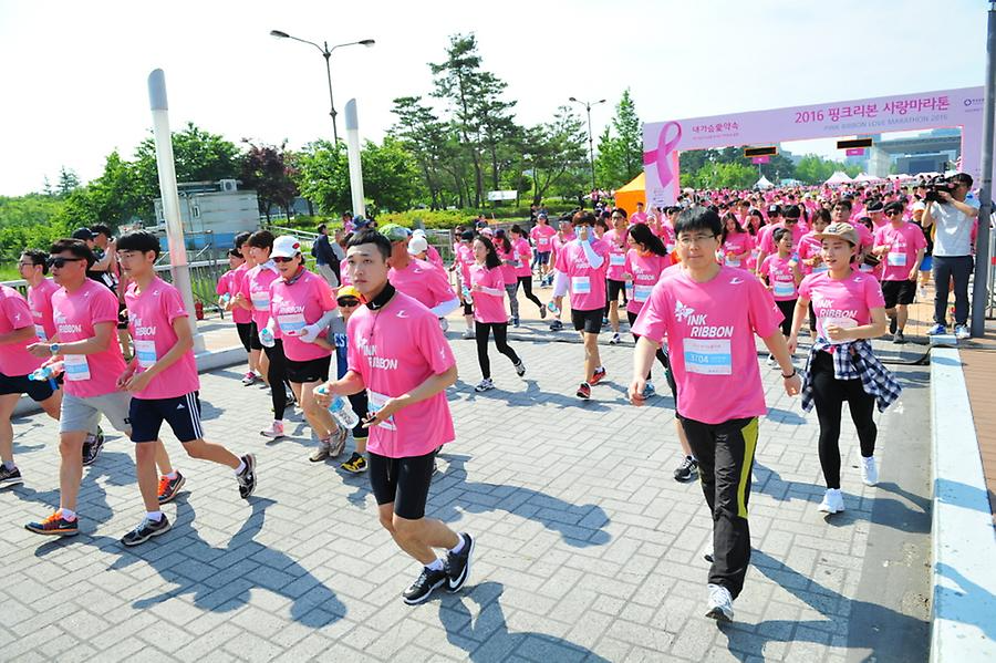 2016 핑크리본사랑마라톤 대전대회