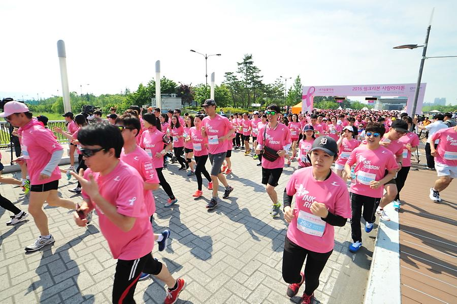 2016 핑크리본사랑마라톤 대전대회