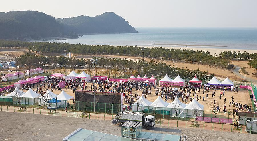 2017핑크런 마라톤 부산대회