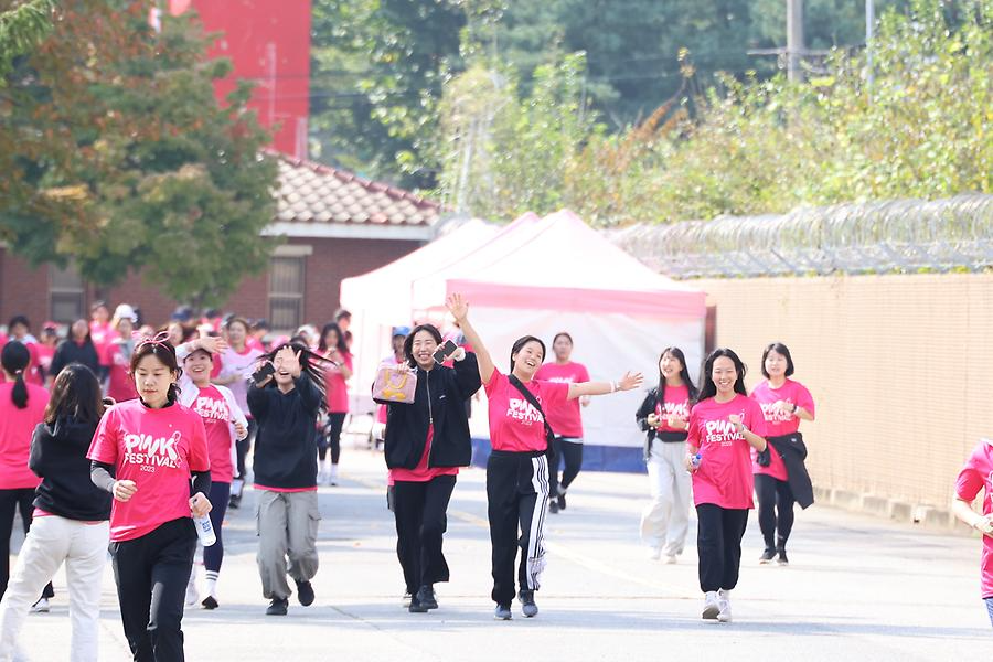 2023 핑크 페스티벌