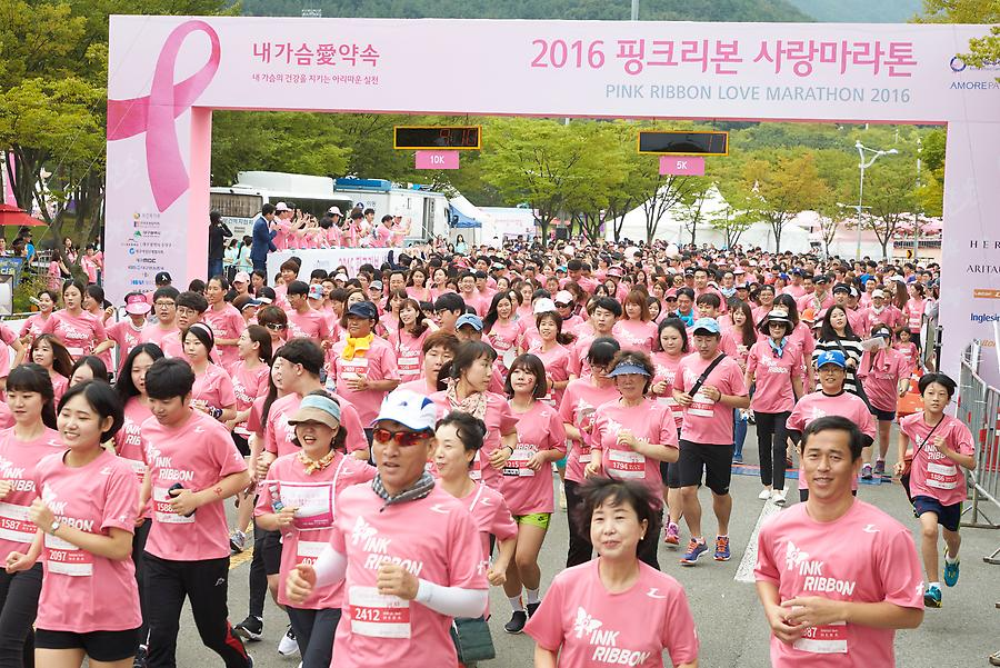 2016 핑크리본 사랑마라톤 대구대회