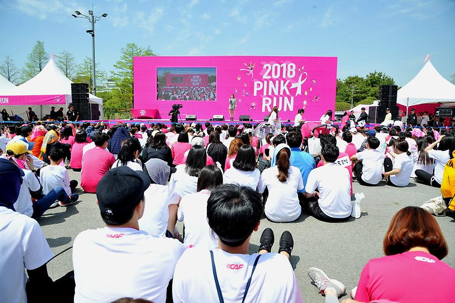 2018 핑크런 대전대회