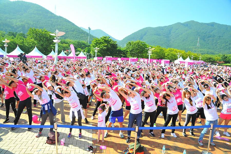 2018 핑크런 대구대회