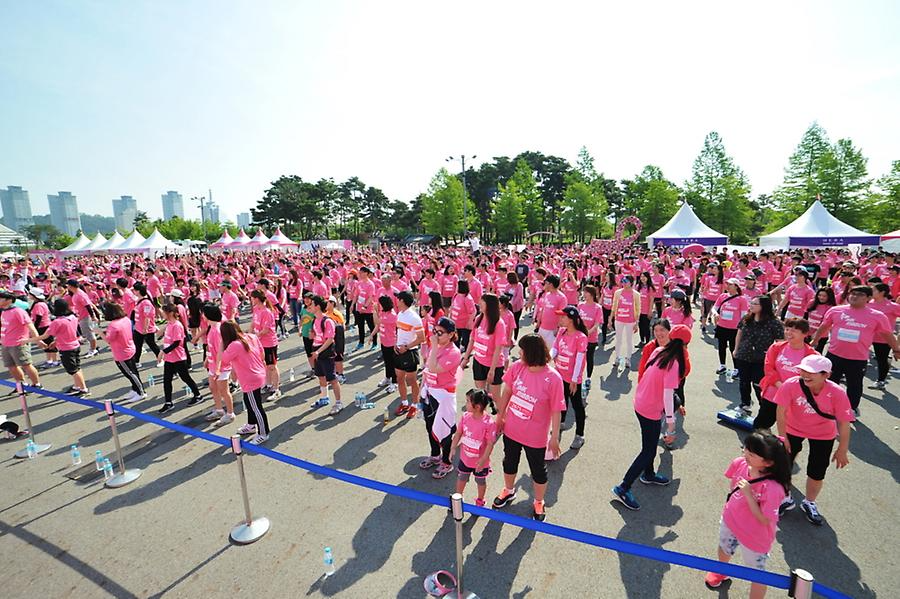 2016 핑크리본사랑마라톤 대전대회