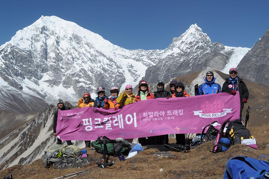 2011 핑크리본 공모전