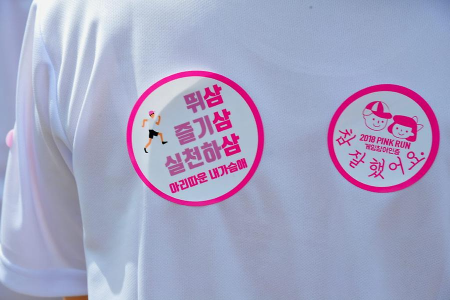 2018 핑크런 대전대회