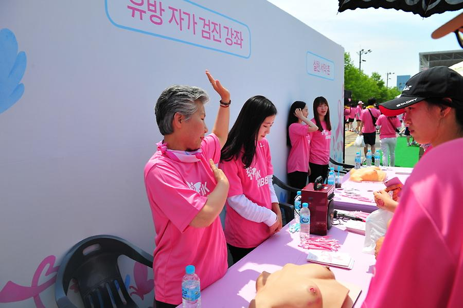 2016 핑크리본사랑마라톤 대전대회