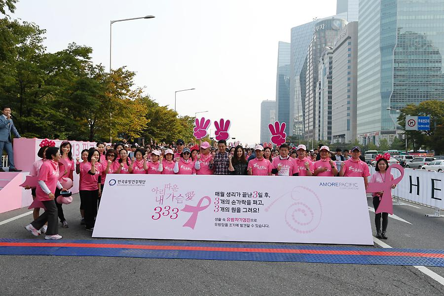 2013 핑크리본 사랑마라톤