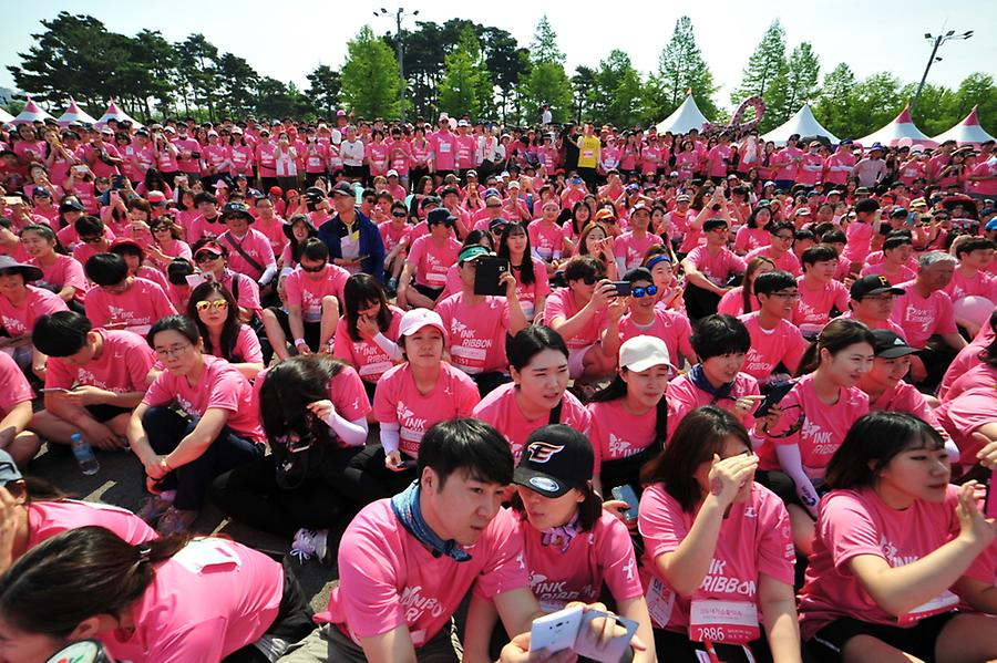2016 핑크리본사랑마라톤 대전대회