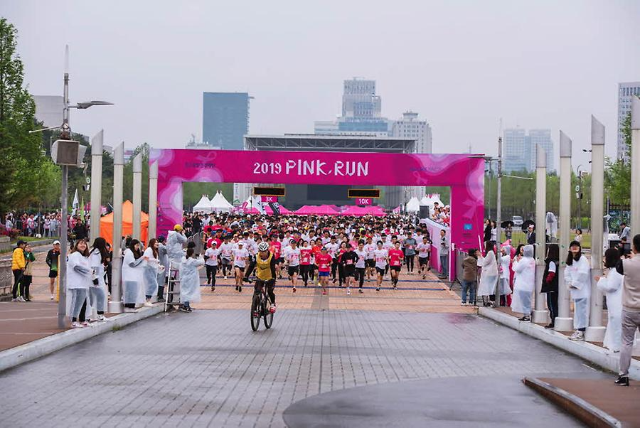 2019 핑크런 대전대회
