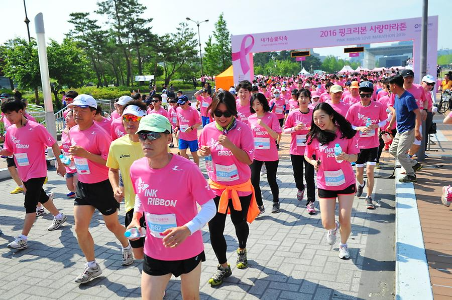2016 핑크리본사랑마라톤 대전대회