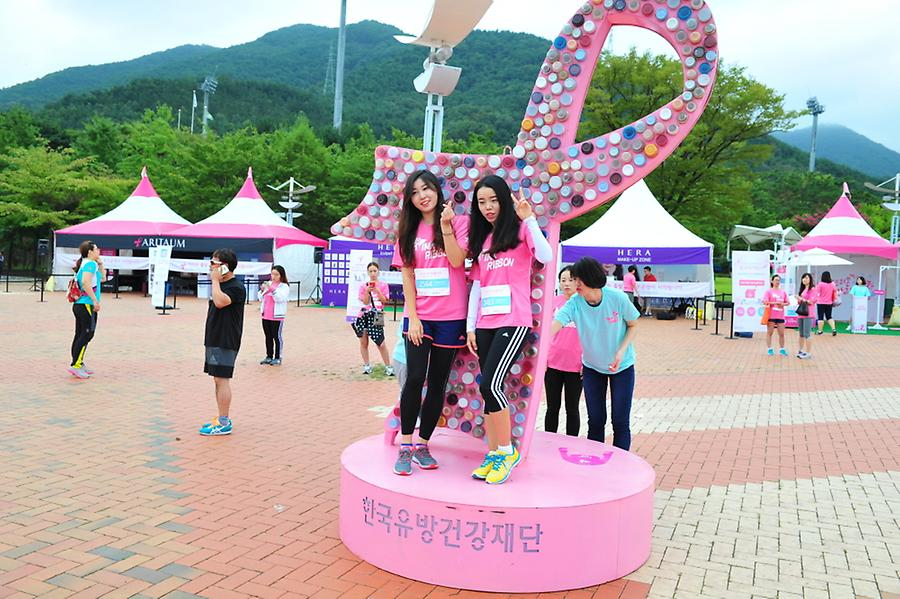 2016 핑크리본 사랑마라톤 대구대회