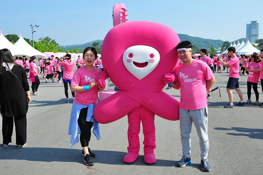2016 핑크리본사랑마라톤 대전대회