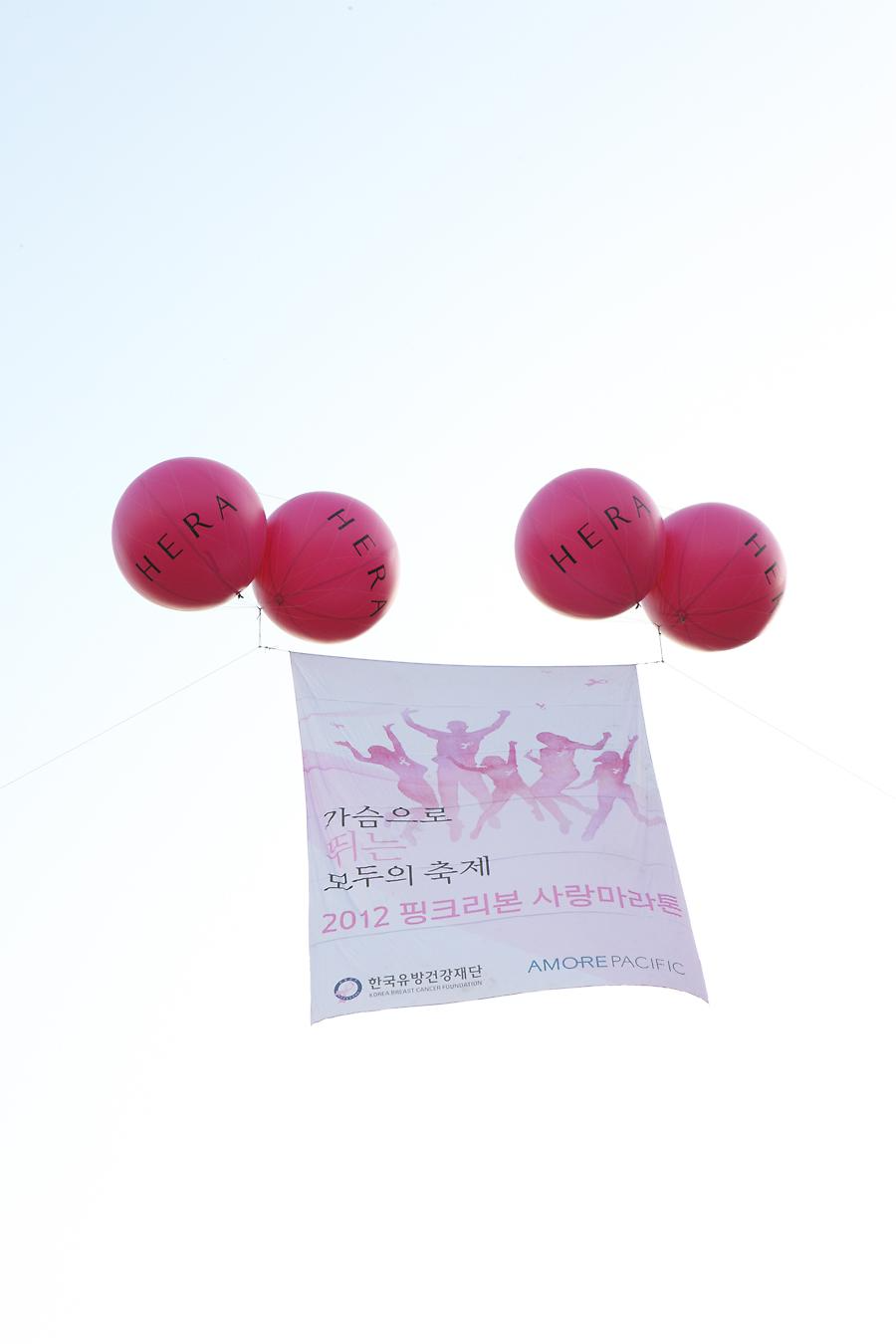 2012 핑크리본 사랑마라톤