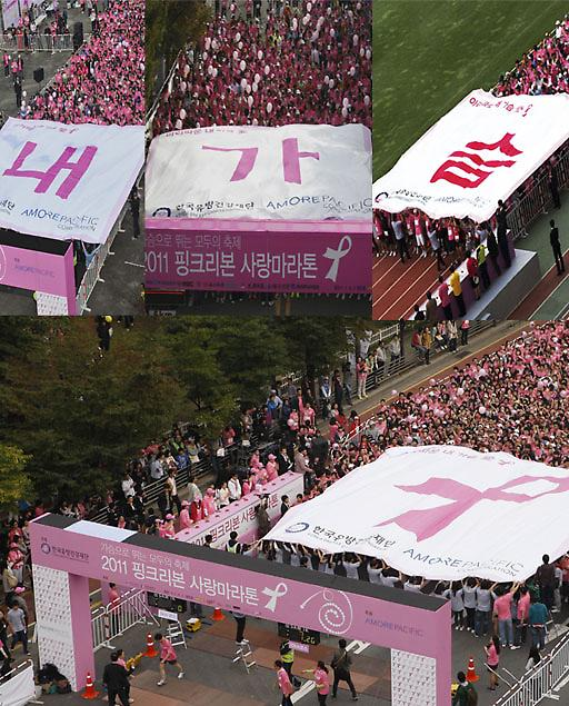 2011 핑크리본 사랑마라톤
