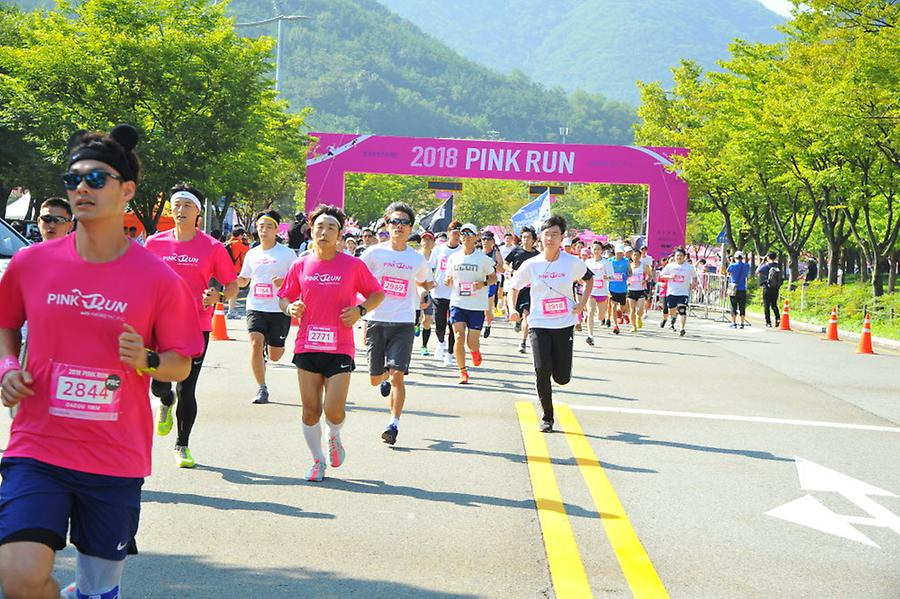 2018 핑크런 대구대회