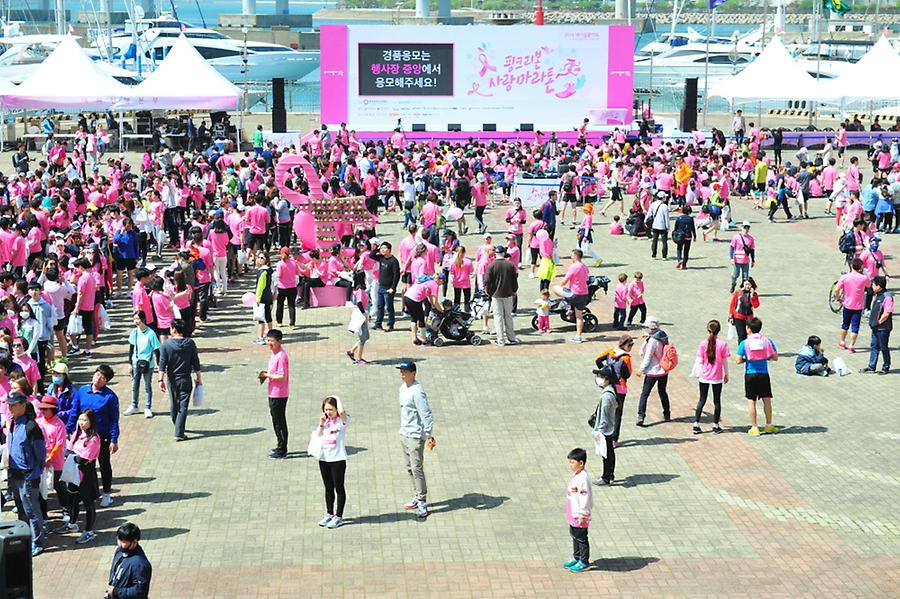 2016 핑크리본사랑마라톤 부산대회