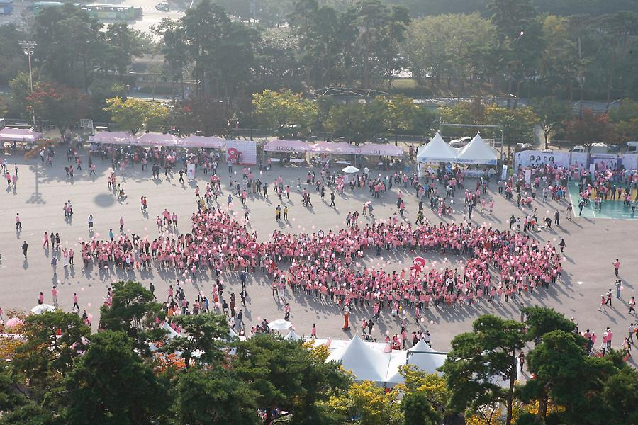 2010 핑크리본 사랑마라톤