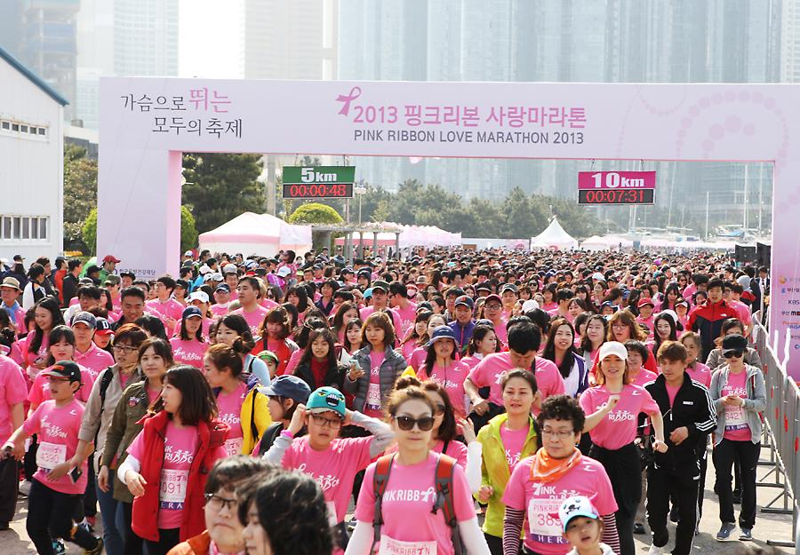 2013 핑크리본 사랑마라톤