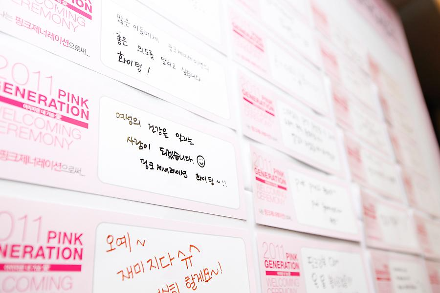 2011 핑크제너레이션