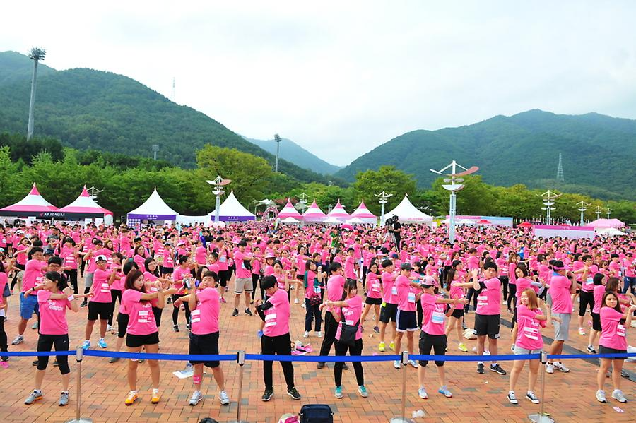 2016 핑크리본 사랑마라톤 대구대회