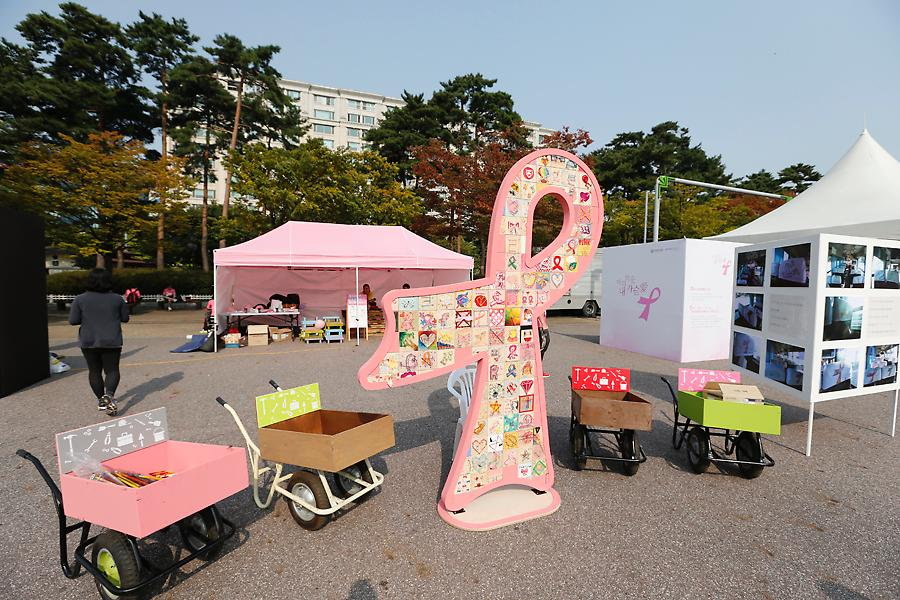 2013 핑크리본 사랑마라톤