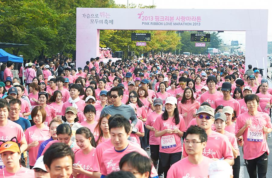 2013 핑크리본 사랑마라톤