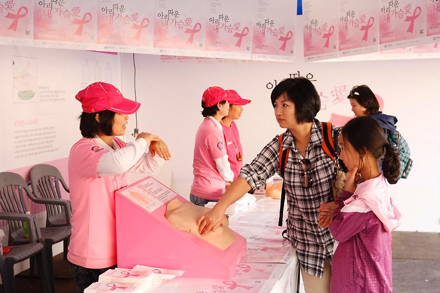2012 경기안산항공전