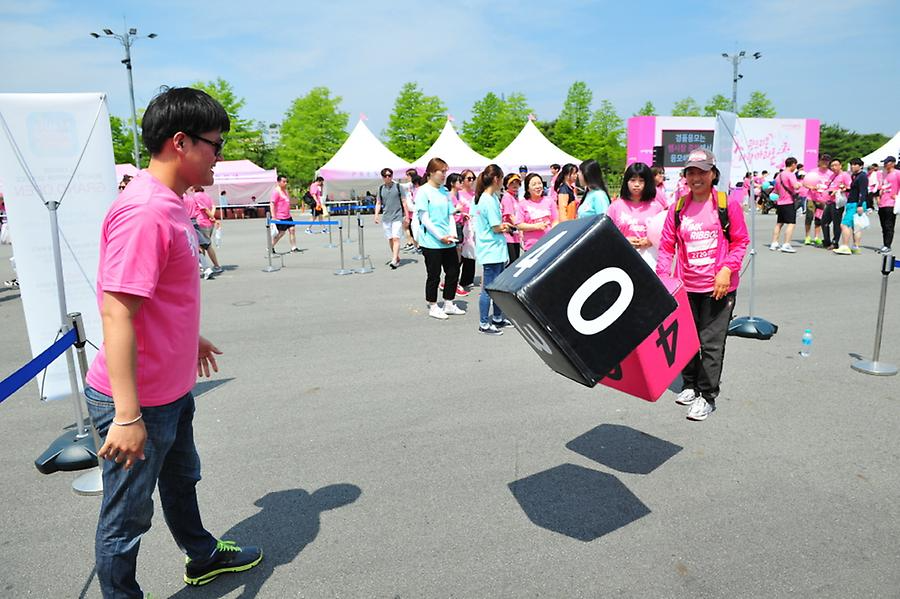 2016 핑크리본사랑마라톤 대전대회