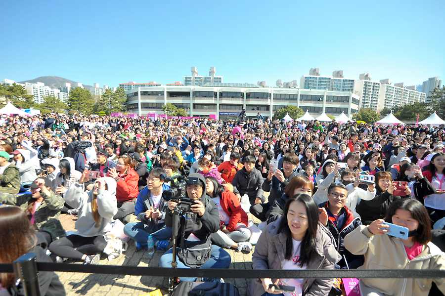 2019 핑크런 부산대회
