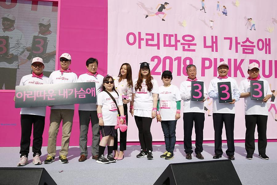 2018 핑크런 대전대회