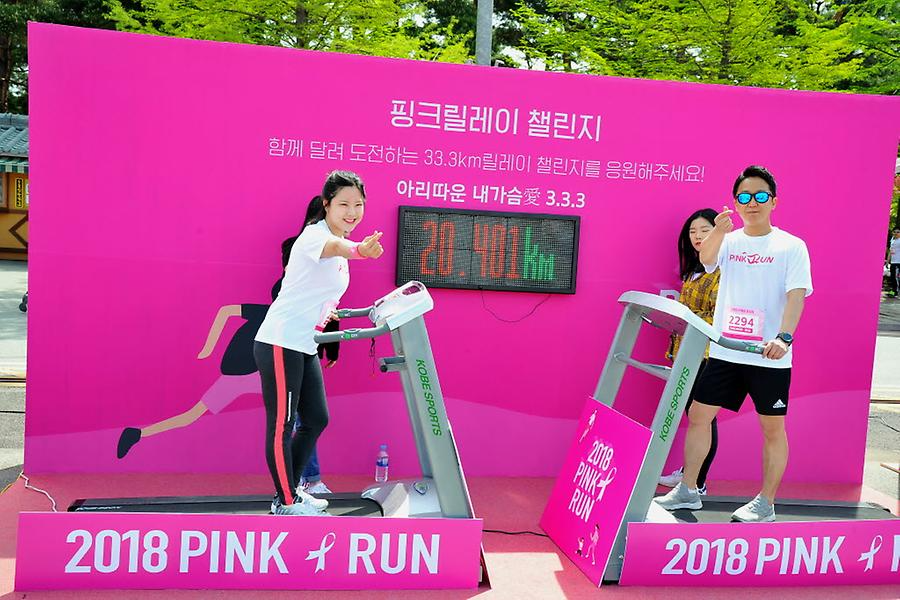 2018 핑크런 대전대회