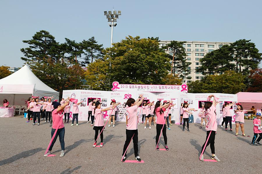 2013 핑크리본 사랑마라톤