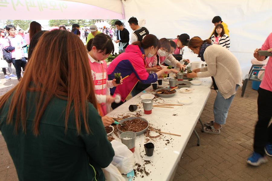 2016 핑크리본사랑마라톤 부산대회