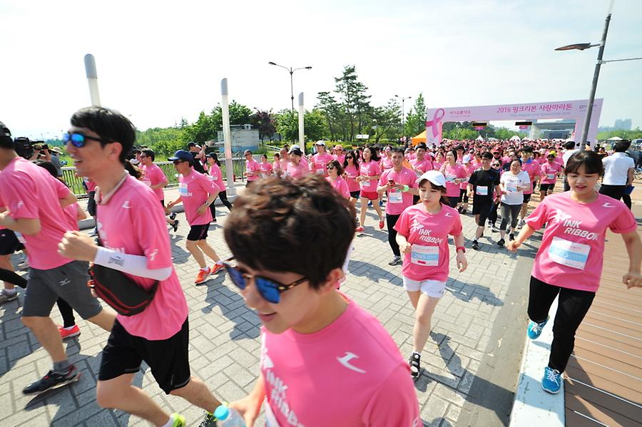 2016 핑크리본사랑마라톤 대전대회