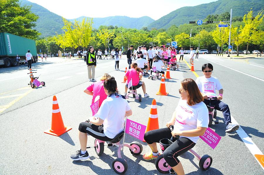 2018 핑크런 대구대회
