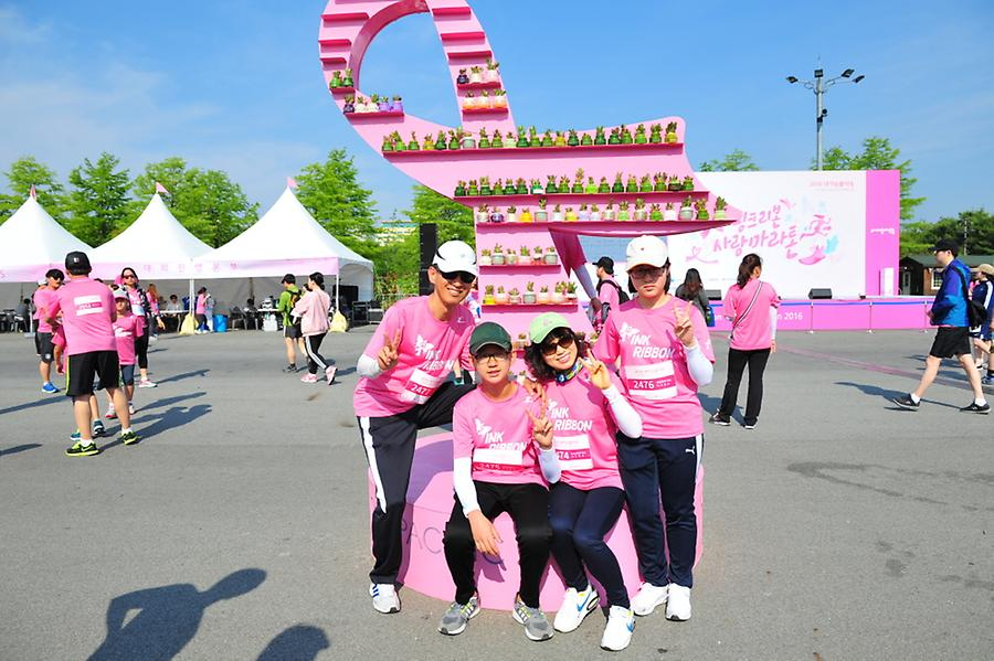 2016 핑크리본사랑마라톤 대전대회