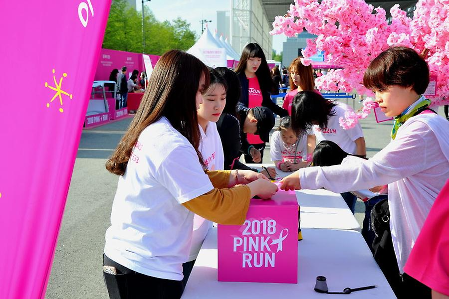 2018 핑크런 대전대회