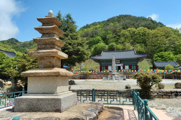 d9650f79c8f24.jpg